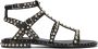 Ash Zwarte Leren Sandaal met Gouden Studs Black Dames - Thumbnail 6