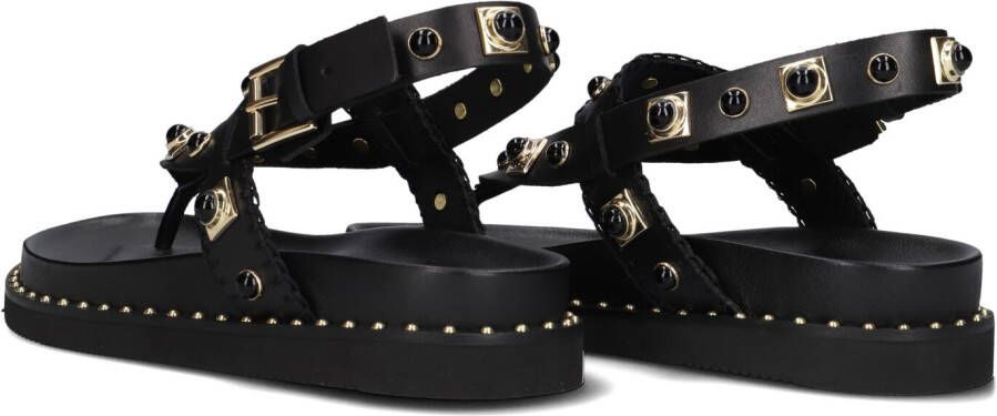 ASH Zwarte Sandalen Uteca