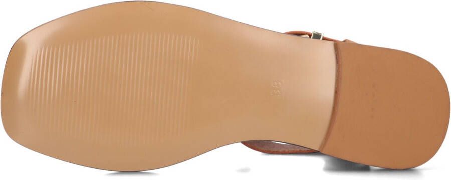 BIBI LOU Bruine Sandalen 901z10aa