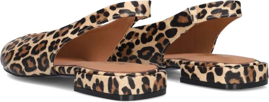 BLASZ Bruine Schoenen Cl15593