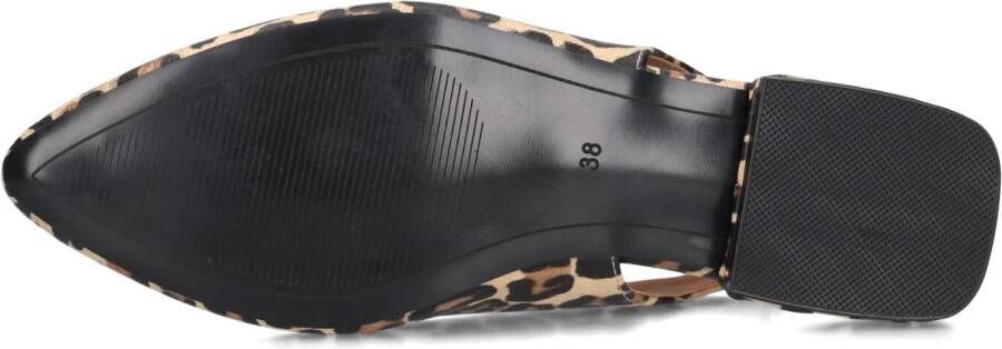 BLASZ Bruine Schoenen Cl15593