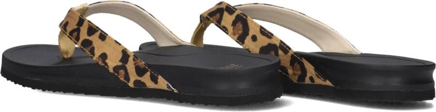 BLASZ Bruine Slippers Bella 2402