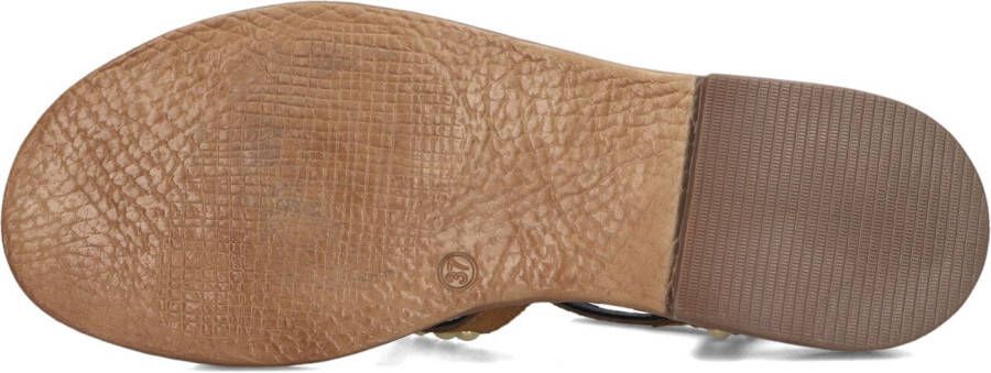 BLASZ Bruine Sandalen 1gamba100