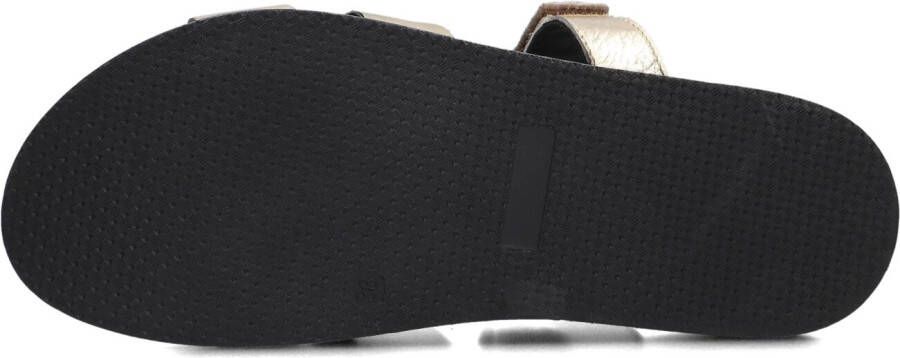 BLASZ Gouden Slippers Lpmag-43