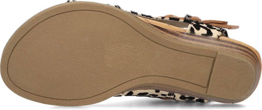 BLOWFISH MALIBU Bruine Sandalen Blumoon