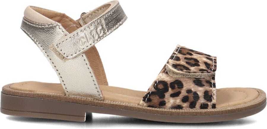 CLIC! Bruine Sandalen 9185