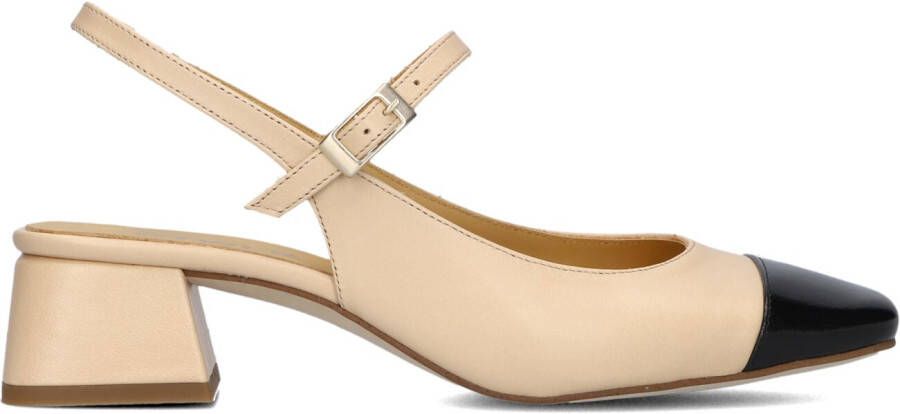 CTWLK Beige Hakken Albania