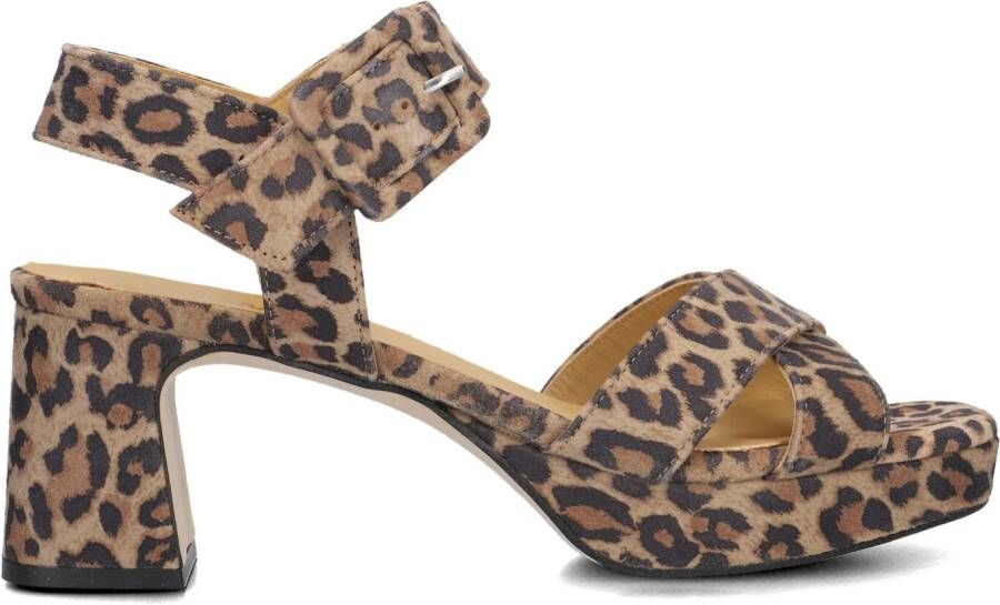 CTWLK Bruine Sandalen Amouch