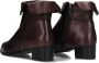 EVERYBODY Enkellaarsjes Dames 49146 Maat: 37 Materiaal: Leer Kleur: Rood - Thumbnail 4