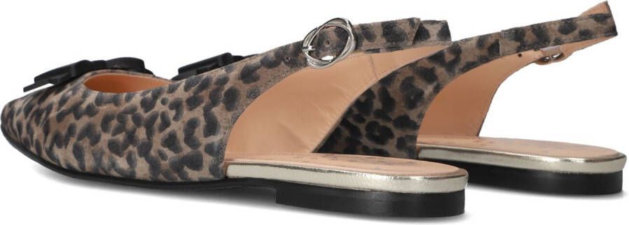 FLORIS VAN BOMMEL Bruine Schoenen Sfw-40050