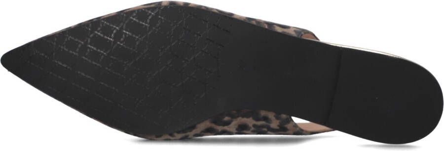 FLORIS VAN BOMMEL Bruine Schoenen Sfw-40050