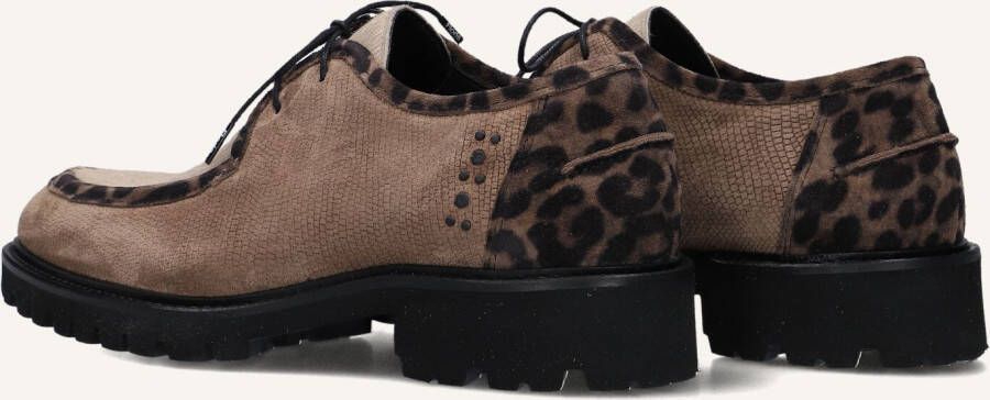 FLORIS VAN BOMMEL Bruine Veterschoenen Sfw-30036 Selsi
