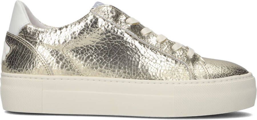 Floris Van Bommel Gouden Lage Sneakers Sfw-10059