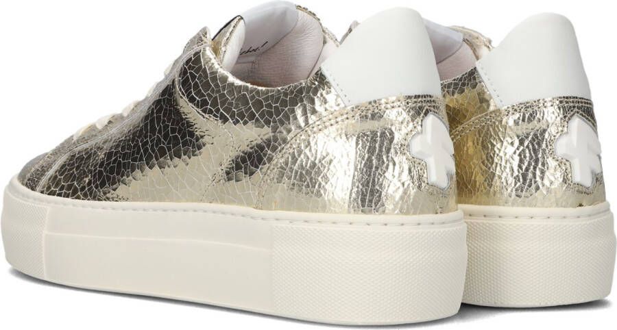 Floris Van Bommel Gouden Lage Sneakers Sfw-10059