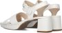 GABOR Sandalen Dames 953 Maat: 42 5 Materiaal: Leer Kleur: Wit - Thumbnail 4