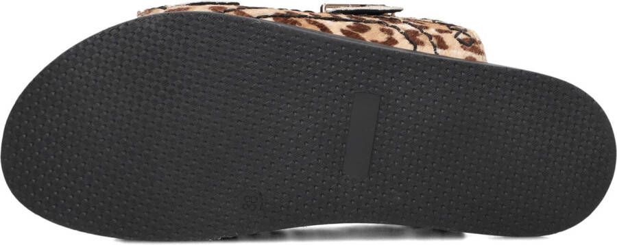 HABOOB Beige Slippers Lpmag