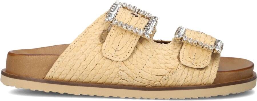 INUOVO Beige Slippers 396027