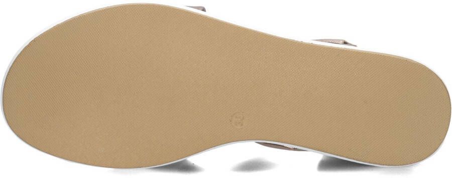 INUOVO Bruine Sandalen 113012