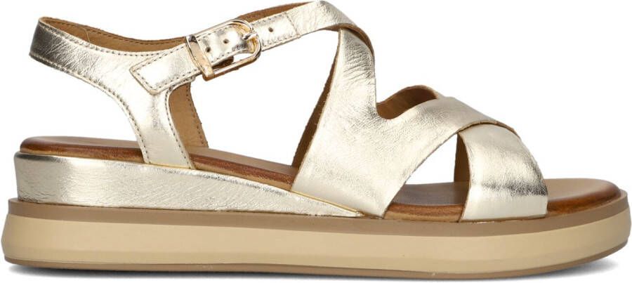 INUOVO Gouden Sandalen 113120
