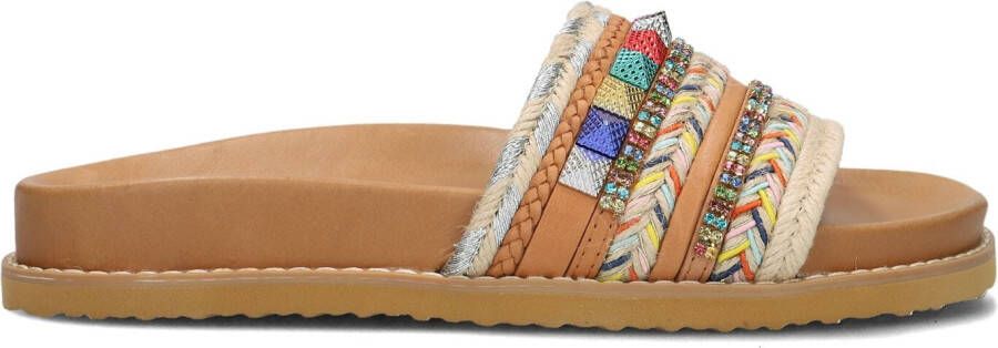 INUOVO Multicolor Slippers 395106