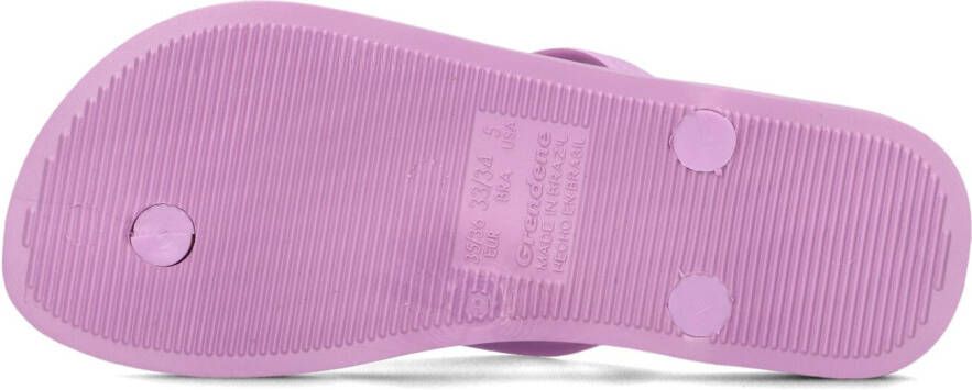 IPANEMA Paarse Slippers Anatomic Colors