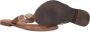 Lazamani Leren versierde teenslipper Beige Leer Teenslippers Dames - Thumbnail 7