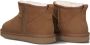 LINA LOCCHI Vachtlaarzen Dames Extreme Glitter Low Maat: 36 Materiaal: Suède Kleur: Cognac - Thumbnail 4