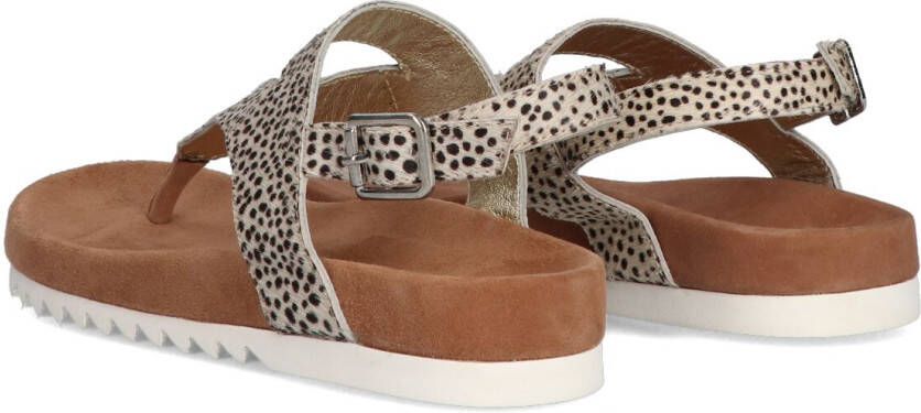 Maruti bear 2025 sandalen