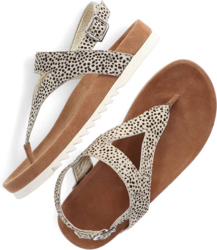 Maruti bear sandalen online