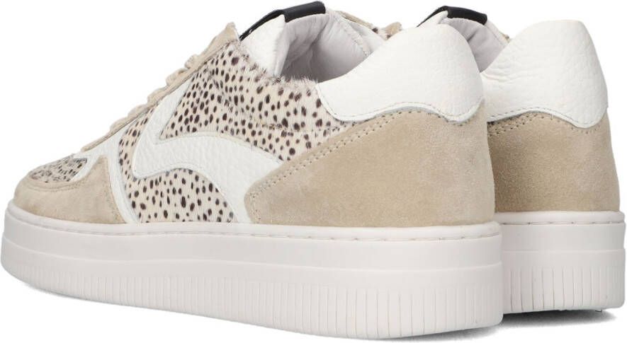 Maruti Witte Lage Sneakers Momo