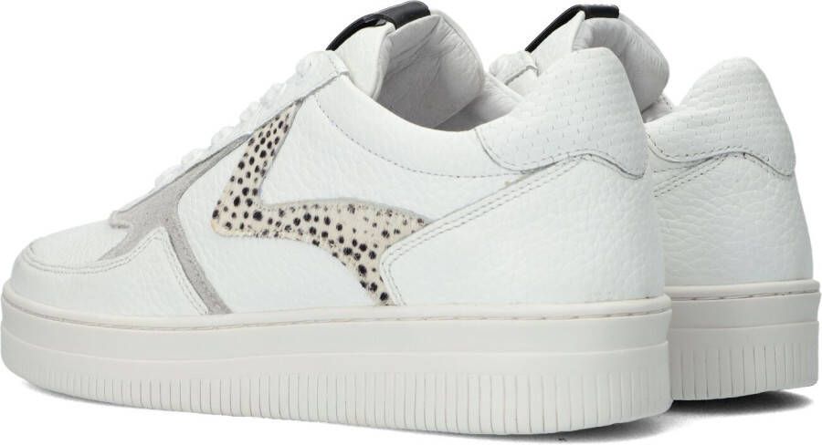 Maruti Witte Lage Sneakers Momo