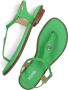 MICHAEL KORS Dames Mallory Thong Maat: 38 5 Materiaal: Leer Kleur: Groen - Thumbnail 5