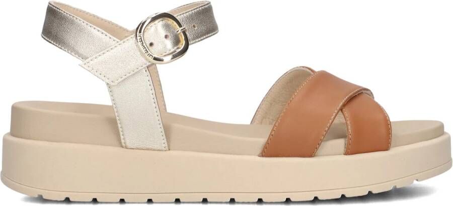 NERO GIARDINI Bruine Sandalen 513703
