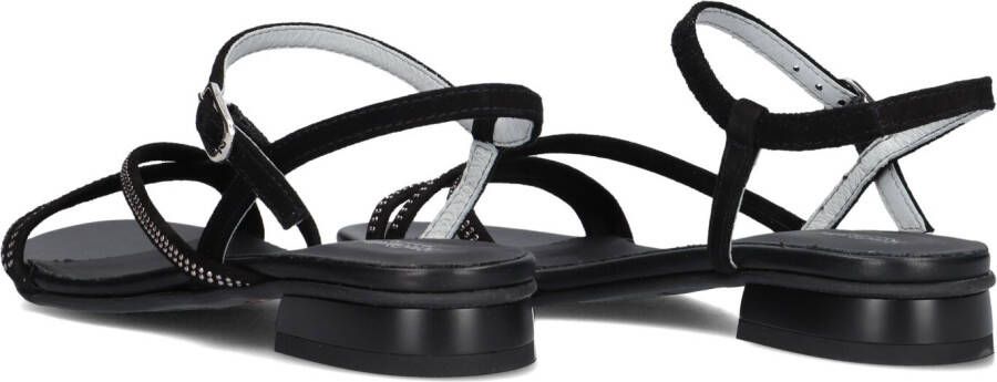 Nero Giardini 115530 Sandalen Dames Zwart - Foto 5