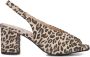 Notre-V 16068 Schoenen Dames Beige - Thumbnail 3