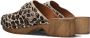 Notre-v Dames Clogs 7743 Brown Dames - Thumbnail 3