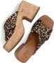 Notre-v Dames Hakken 989001 Brown Dames - Thumbnail 6