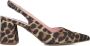 Notre-V 2315c Schoenen Dames Bruin - Thumbnail 3