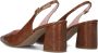 Notre-V 2315c Schoenen Dames Bruin - Thumbnail 4