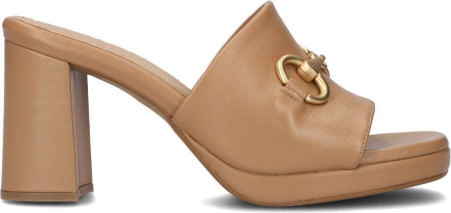 NOTRE-V Camel Hakken 99920