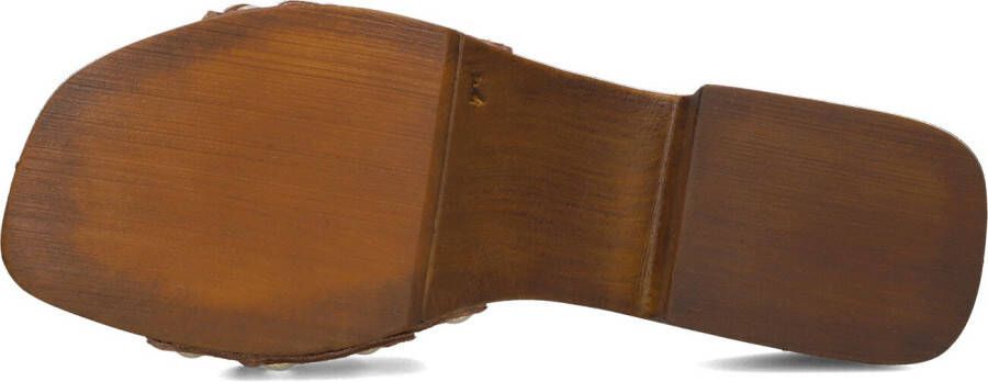 NOTRE-V Cognac Hakken 713l