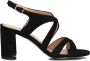 Notre-V 22552 Sandalen Dames Zwart - Thumbnail 3