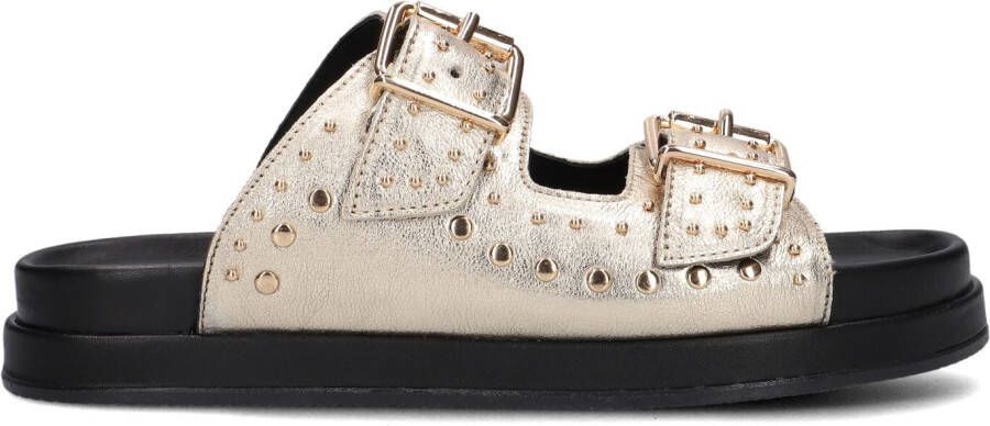 BLASZ Gouden Slippers Lpmag-07