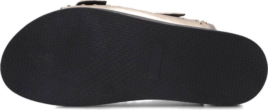 BLASZ Gouden Slippers Lpmag-07
