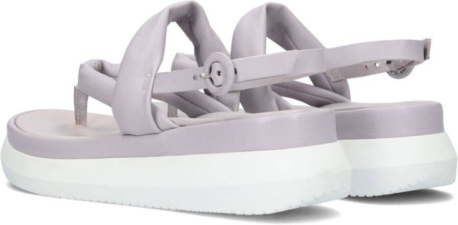 Omoda Lila Sandalen M38031