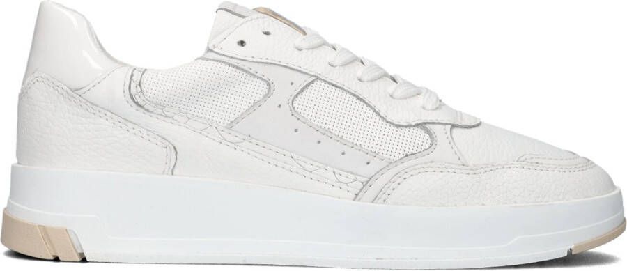 Omoda Witte Lage Sneakers Buckley