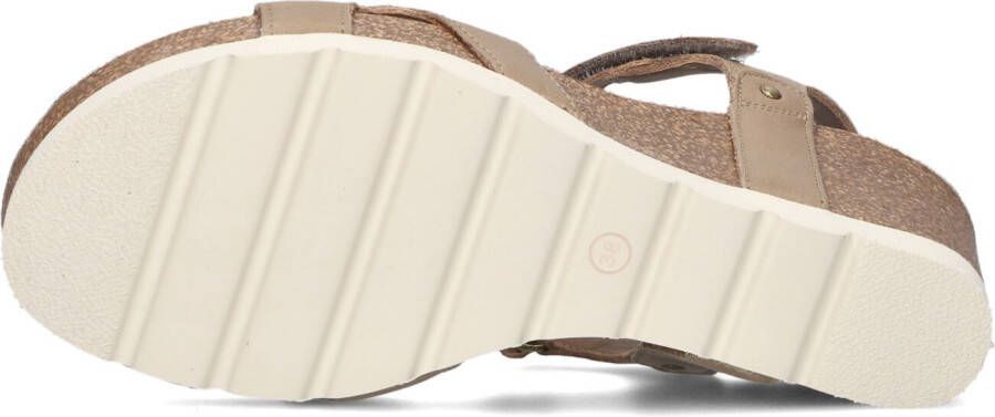 PANAMA JACK Taupe Sandalen Julia