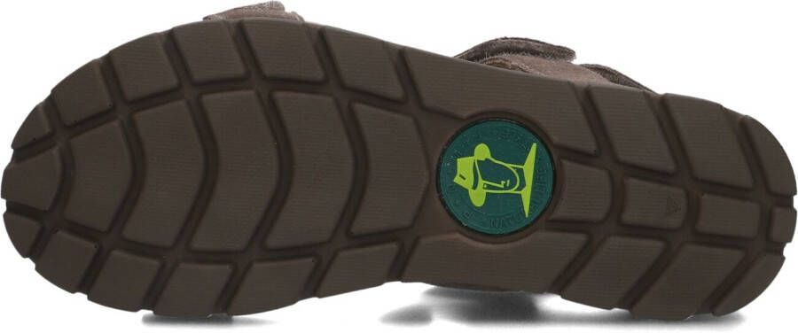PANAMA JACK Bruine Sandalen Selma