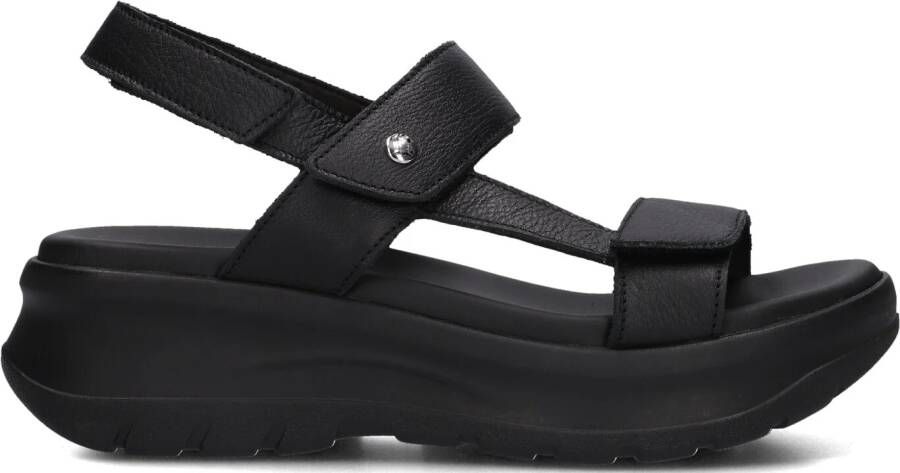 PANAMA JACK Zwarte Sandalen Noor