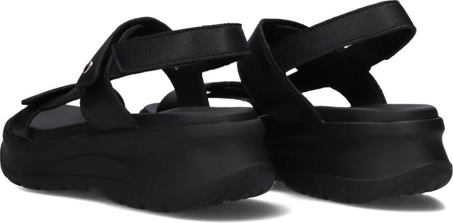 PANAMA JACK Zwarte Sandalen Noor